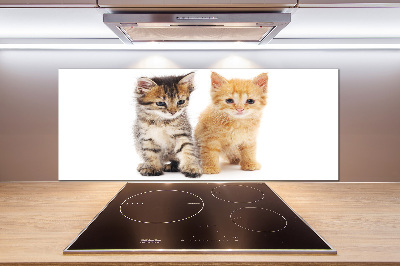 Achterwand keuken Bruine en rosse kat