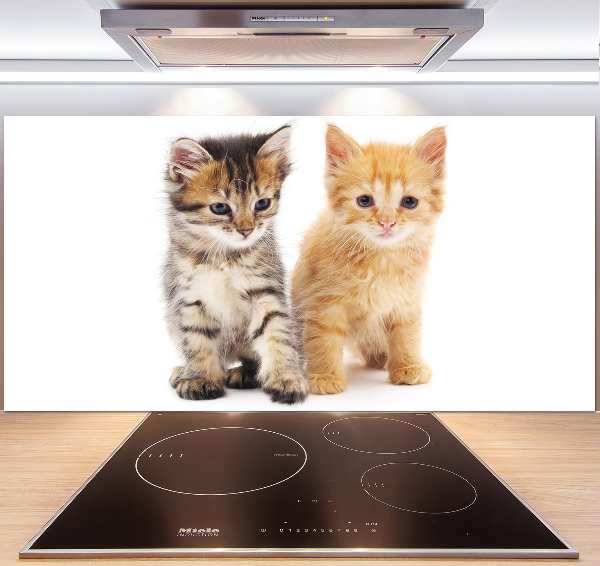 Achterwand keuken Bruine en rosse kat