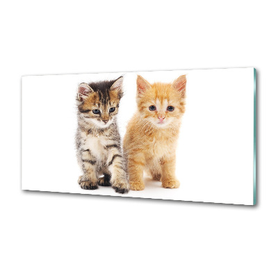 Achterwand keuken Bruine en rosse kat