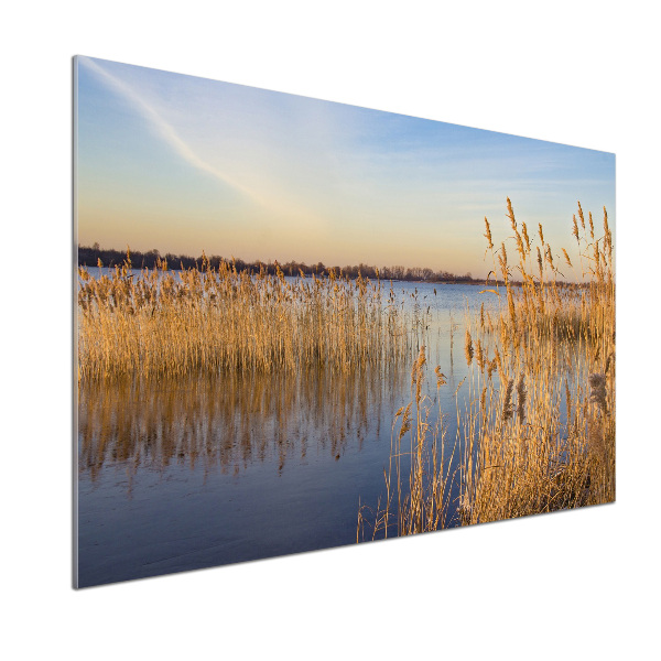 Spatplaat keuken Waterriet