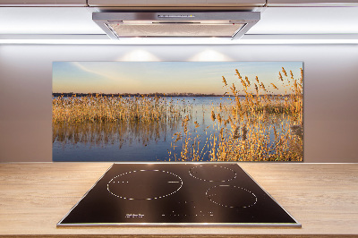 Spatplaat keuken Waterriet