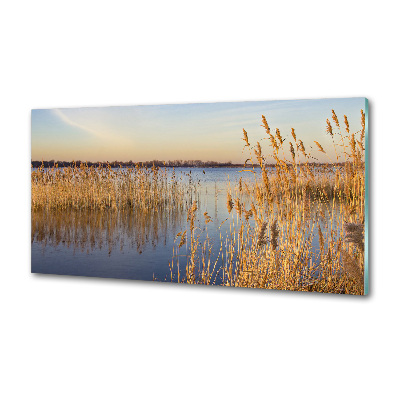 Spatplaat keuken Waterriet