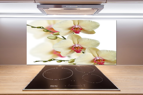 Keuken achterwand Orchidee