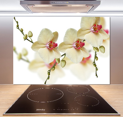 Keuken achterwand Orchidee