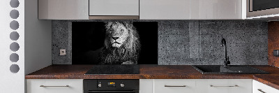 Spatplaat keuken Leeuw