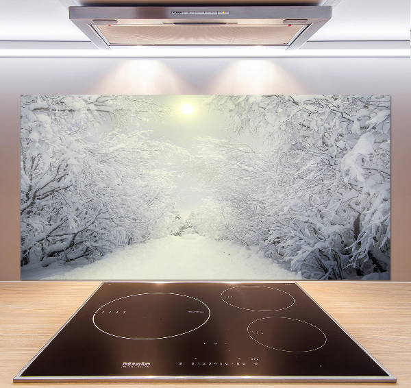 Spatscherm keuken Prachtig bos in de winter