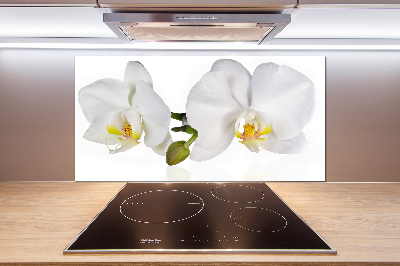 Glazen achterwand keuken Orchidee