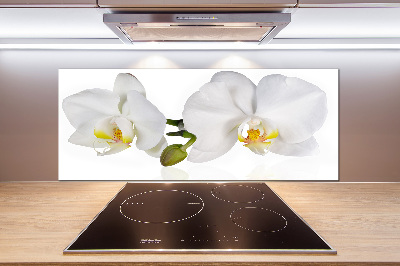 Glazen achterwand keuken Orchidee