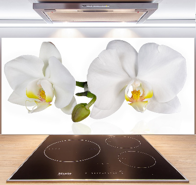 Glazen achterwand keuken Orchidee