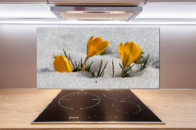 Panel do kuchni Krokusy w śniegu