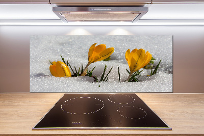 Achterwand keuken Krokussen in de sneeuw