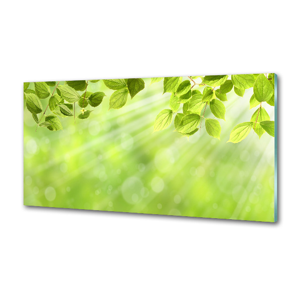 Spatscherm keuken Bladeren