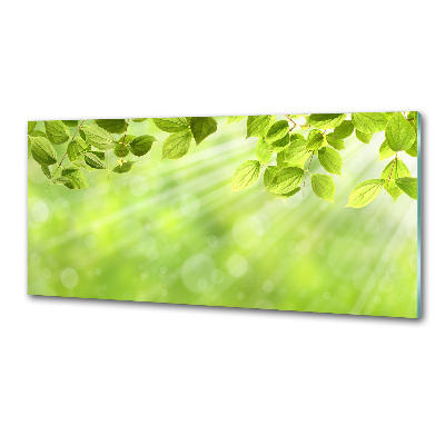 Spatscherm keuken Bladeren