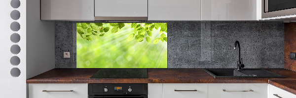 Spatscherm keuken Bladeren