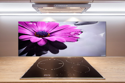 Panel szklany do kuchni Gerbera