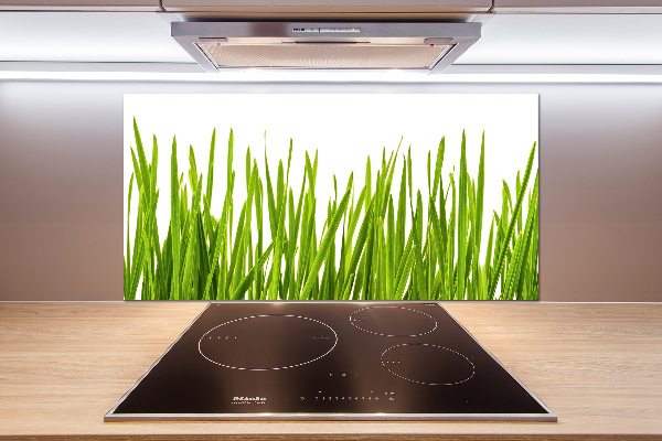 Glazen achterwand keuken Gras