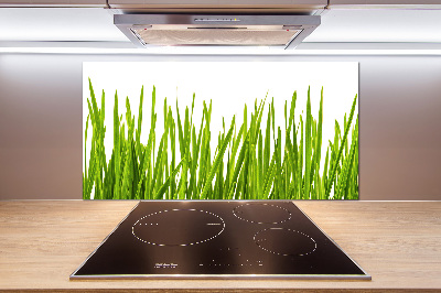 Glazen achterwand keuken Gras