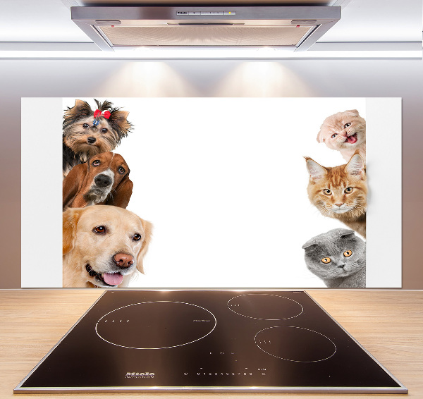 Glazen achterwand keuken Honden en katten