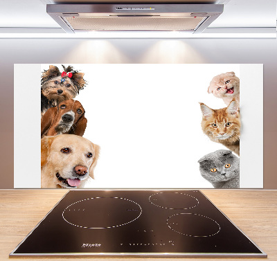 Glazen achterwand keuken Honden en katten