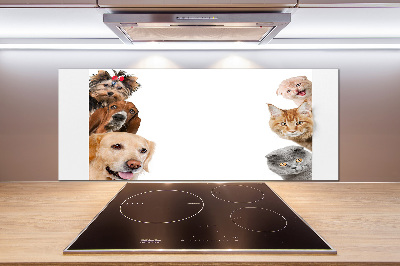 Glazen achterwand keuken Honden en katten