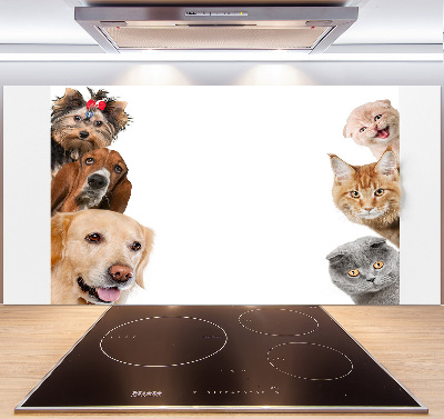 Glazen achterwand keuken Honden en katten
