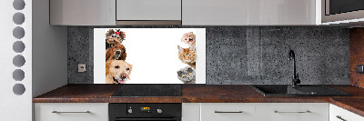Glazen achterwand keuken Honden en katten