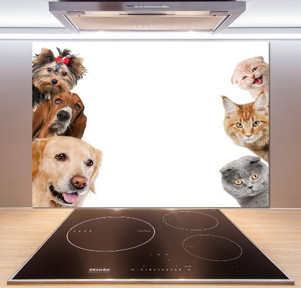 Glazen achterwand keuken Honden en katten