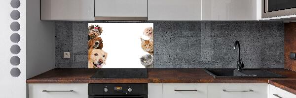 Glazen achterwand keuken Honden en katten