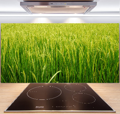 Achterwand keuken Rijstveld