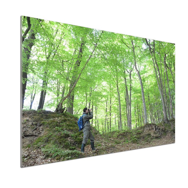Glazen achterwand keuken Ornitholoog in het bos