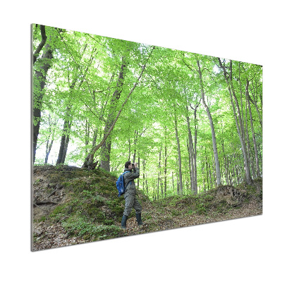 Glazen achterwand keuken Ornitholoog in het bos