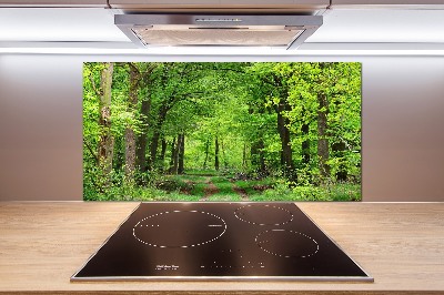 Glazen achterwand keuken Lentebos
