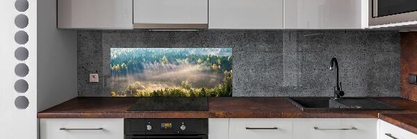 Panel dekor szkło Mgła w lesie