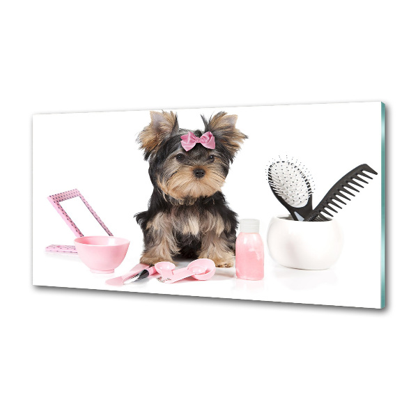 Spatscherm keuken Yorkshire cosmetica