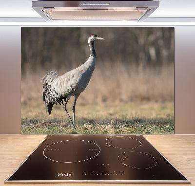 Spatplaat keuken Reiger