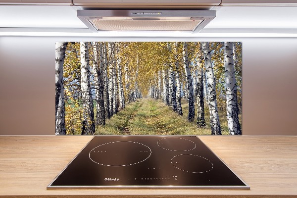 Glazen achterwand keuken Berken in de herfst