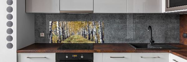 Glazen achterwand keuken Berken in de herfst