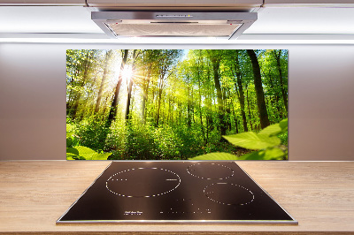 Panel dekor szkło Las w słońcu