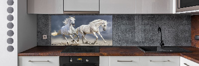 Spatscherm keuken Witte paardenstrand