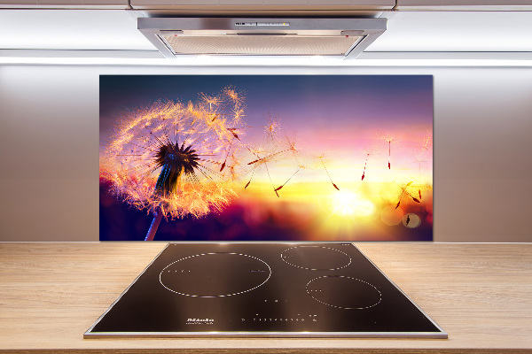 Glazen achterwand keuken Paardebloem