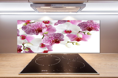 Achterwand keuken Orchidee