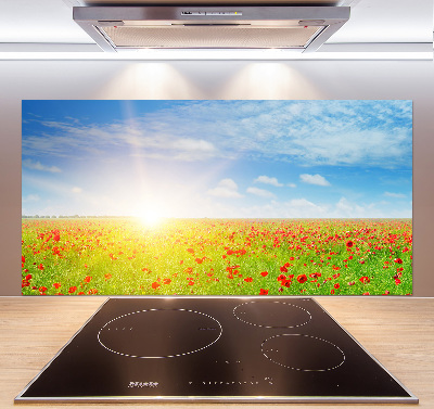 Spatplaat keuken Klaprozenveld