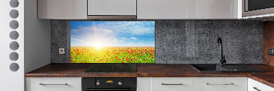 Spatplaat keuken Klaprozenveld