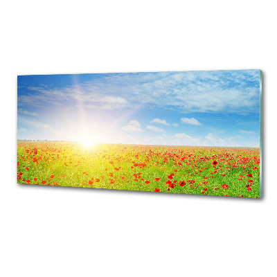 Spatplaat keuken Klaprozenveld