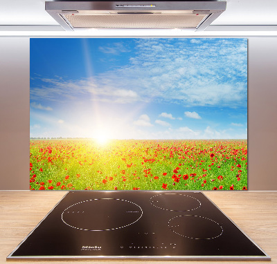 Spatplaat keuken Klaprozenveld