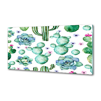 Glazen achterwand keuken Cactussen