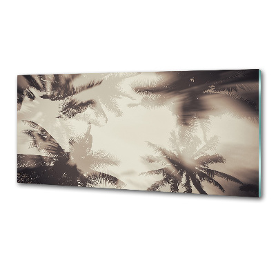 Glazen achterwand keuken Palmbomen