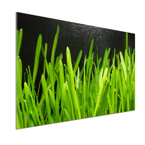 Spatscherm keuken Gras