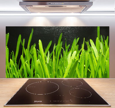 Panel szklany do kuchni Trawa