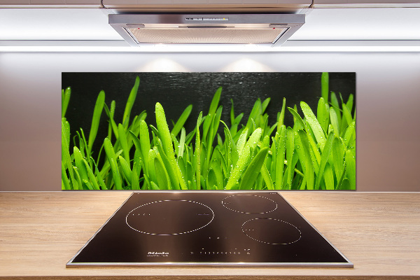 Spatscherm keuken Gras
